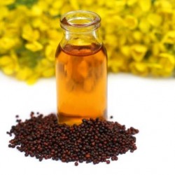 Sabunaria No.1 Esansı