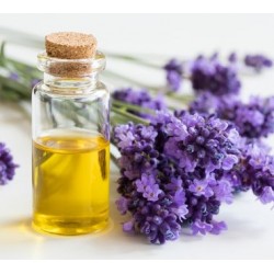 Sabunaria No.1 Esansı